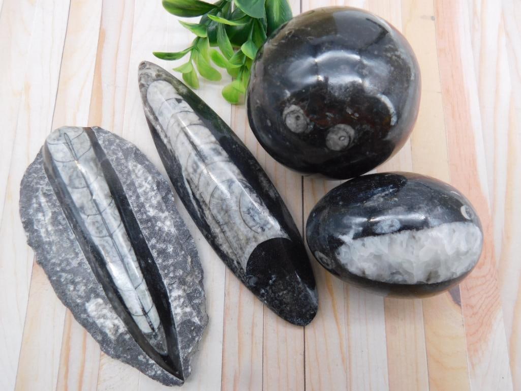 ORTHOCERAS LOT NATURAL FOSSIL COLLECTOR SPECIMEN DISPLAY SET: This orthoceras fossil lot appeals to fossil collectors and natural history enthusiasts drawn to these ancient cephalopod remains. See photos for exact contents, sizes, and condition.