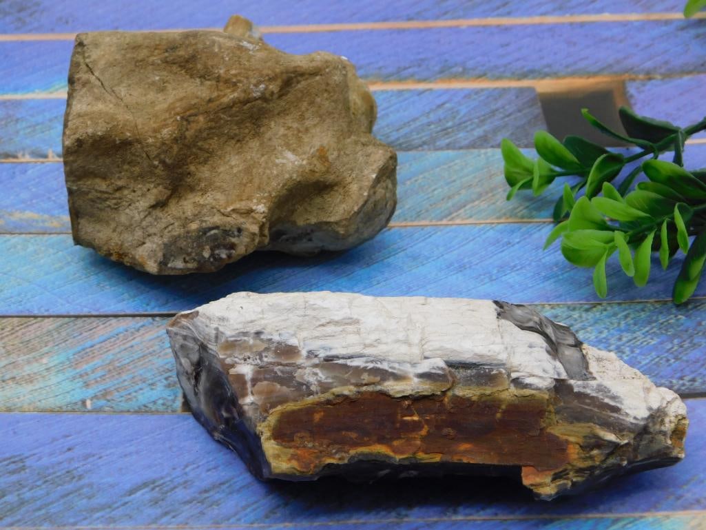 MIXED ROUGH LOT ASSORTED NATURAL ROUGH LAPIDARY COLLECTOR SPECIMEN (1 of 2)