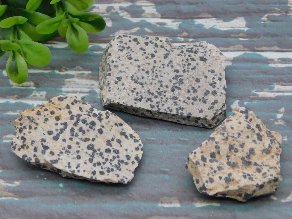 DALMATION JASPER NATURAL STONE SPECIMEN FOR COLLECTORS AND CABBING