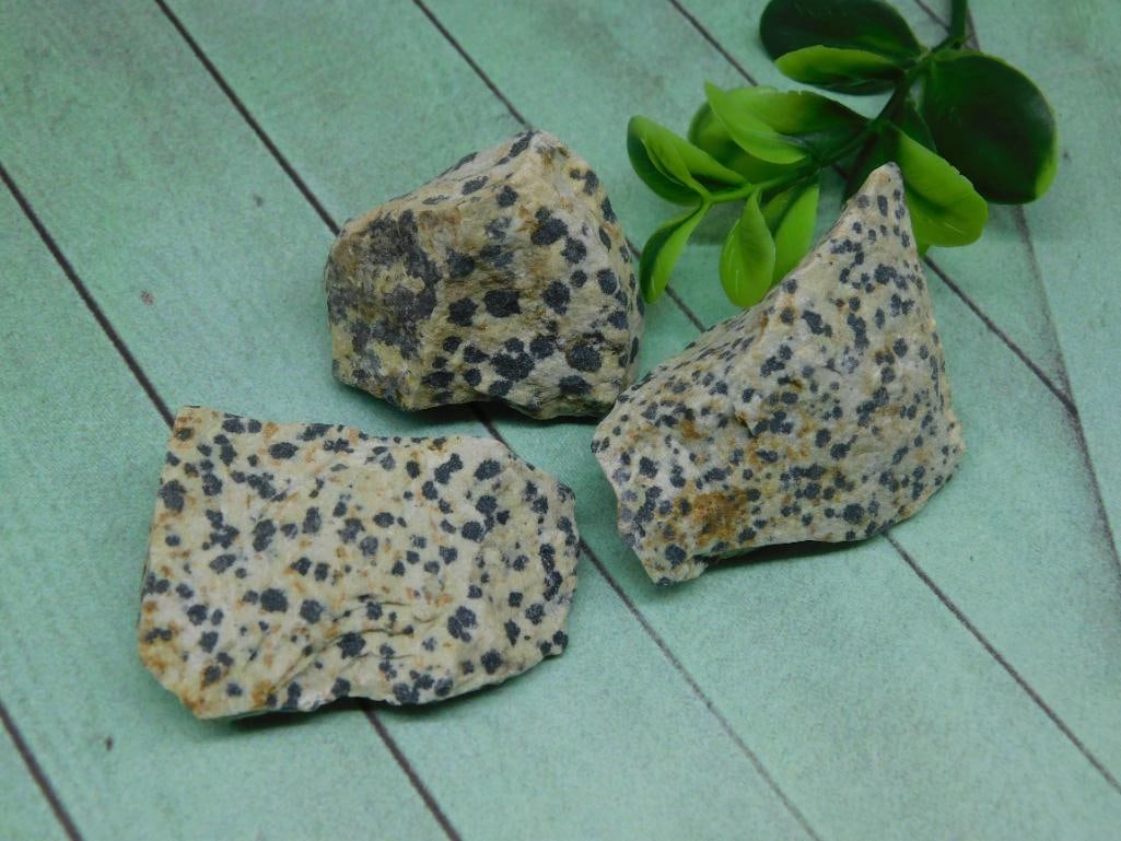 DALMATION JASPER NATURAL SPOTTED STONE FOR LAPIDARY AND DISPLAY