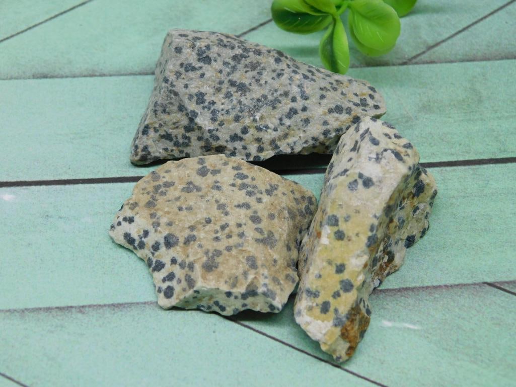 DALMATION JASPER ROCK STONE LAPIDARY SPECIMEN - GENUINE DALMATION JASPER FOR CABBING & JEWELRY