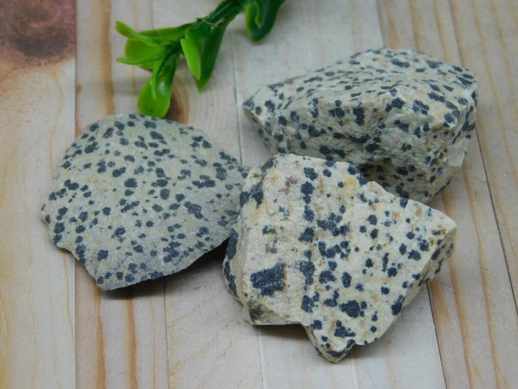DALMATION JASPER ROCK STONE LAPIDARY SPECIMEN - NATURAL DALMATION JASPER STONE FOR JEWELRY MAKERS