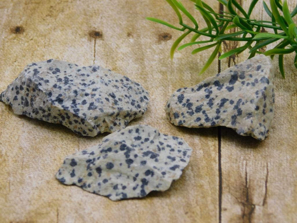 DALMATION JASPER ROCK STONE LAPIDARY SPECIMEN - NATURAL SPOTTED STONE FOR COLLECTORS