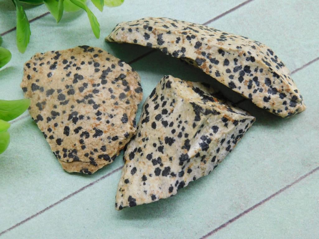 NATURAL DALMATION JASPER STONE LAPIDARY SPECIMEN FOR JEWELRY MAKING AND DISPLAY