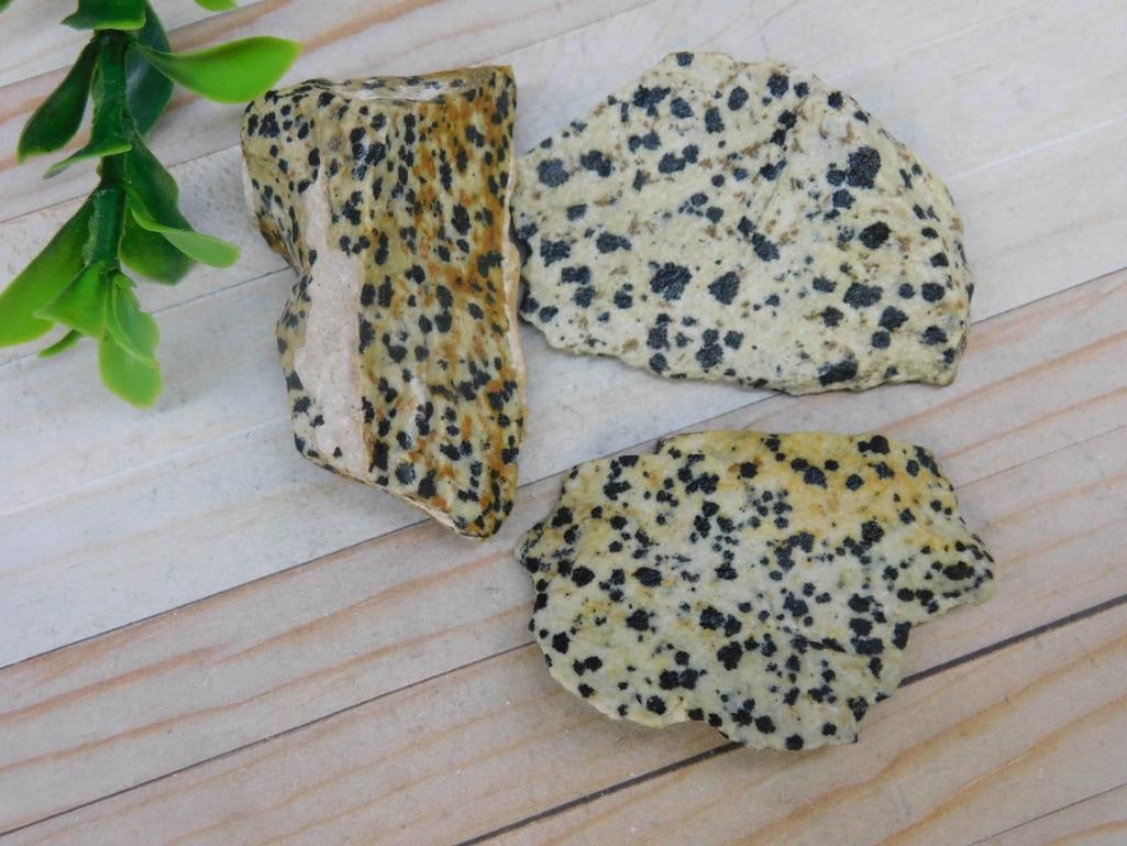 DALMATION JASPER STONE LAPIDARY SPECIMEN - SPOTTED GEMSTONE COLLECTOR PIECE