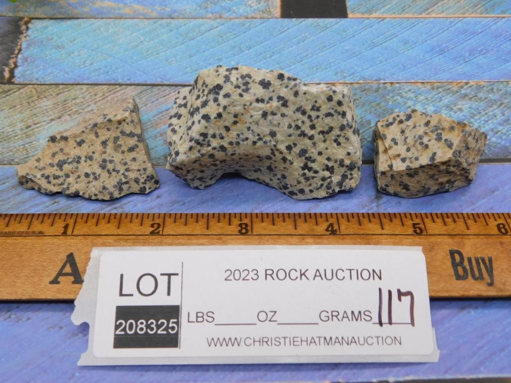 DALMATION JASPER LAPIDARY ROCK SPECIMEN - NATURAL SPOTTED STONE FOR COLLECTORS