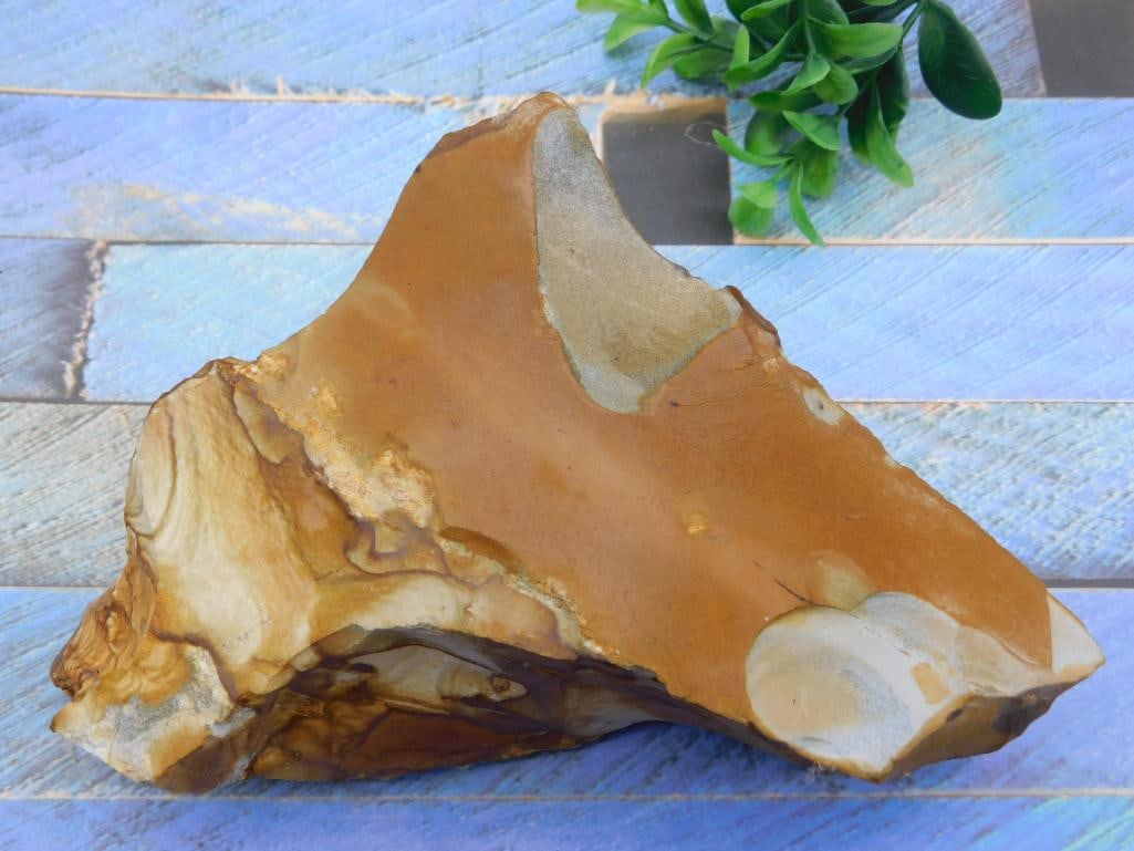 JASPER ROCK STONE LAPIDARY SPECIMEN - NATURAL COLLECTOR CABBING STONE