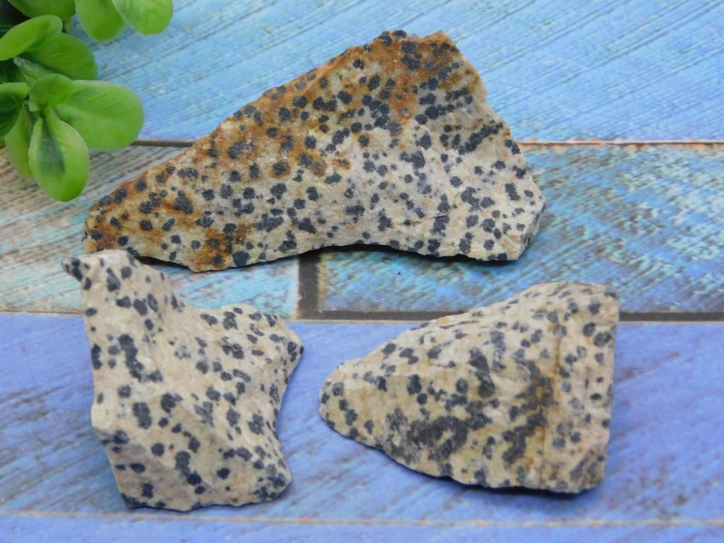 DALMATION JASPER STONE LAPIDARY SPECIMEN - COLLECTIBLE SPOTTED NATURAL JASPER (1 of 2)