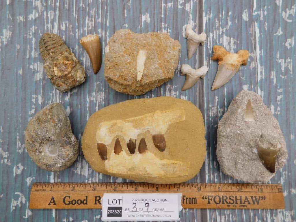 MIXED LOT LAPIDARY ROCK STONE SPECIMEN - ASSORTED NATURAL COLLECTOR LOT: This natural stone mixed lot is a fun pick for collectors and rockhounds who appreciate variety in a single purchase. The assortment makes it a versatile addition to any rock and mineral collection. S