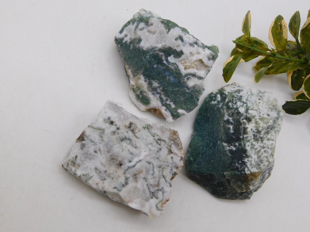 TREE AGATE ROCK STONE LAPIDARY SPECIMEN NATURAL GREEN PATTERNED STONE FOR COLLECTORS: This tree agate specimen shows off the natural branching, moss-like pattern this stone is known for, making it a lovely addition to a mineral collection. See photos for exact size, color, and detail.