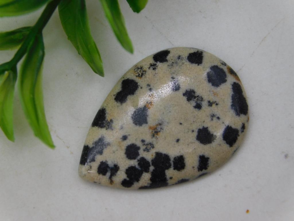 DALMATION JASPER ROCK STONE LAPIDARY SPECIMEN SPOTTED GEMSTONE FOR MINERAL DISPLAY