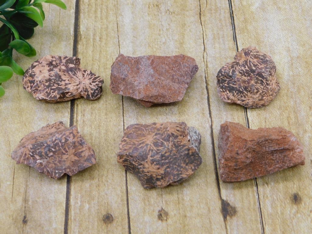 STARBURST JASPER ROCK STONE LAPIDARY SPECIMEN NATURAL CABBING ROUGH COLLECTOR