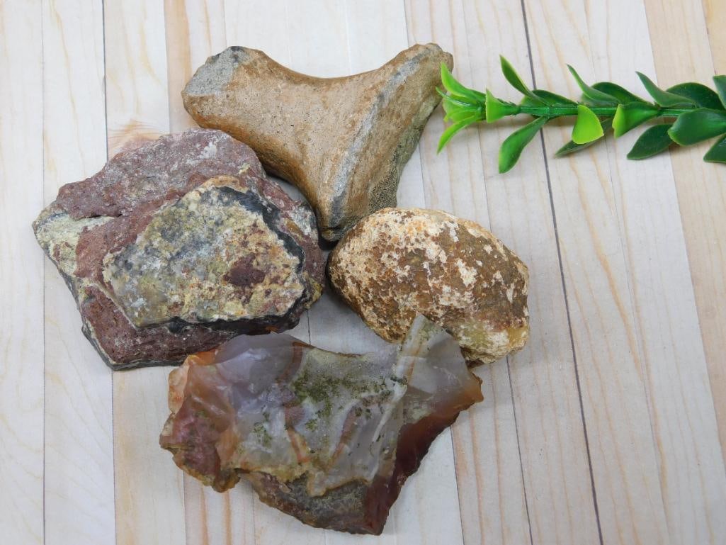 MIXED ROUGH ROCK STONE LAPIDARY SPECIMEN NATURAL ROCKHOUND CUTTING ROUGH LOT: This mixed rough rock lot offers natural material ready for the cutting wheel or tumbler, a great start for lapidary projects big or small. Collectors and rockhounds will enjoy sorting through this ra