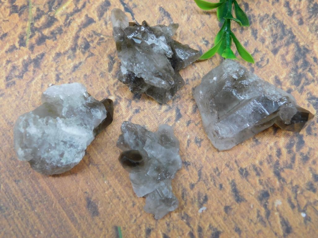 SMOKY QUARTZ ROCK STONE LAPIDARY SPECIMEN NATURAL HEALING CRYSTAL METAPHYSICAL COLLECTOR