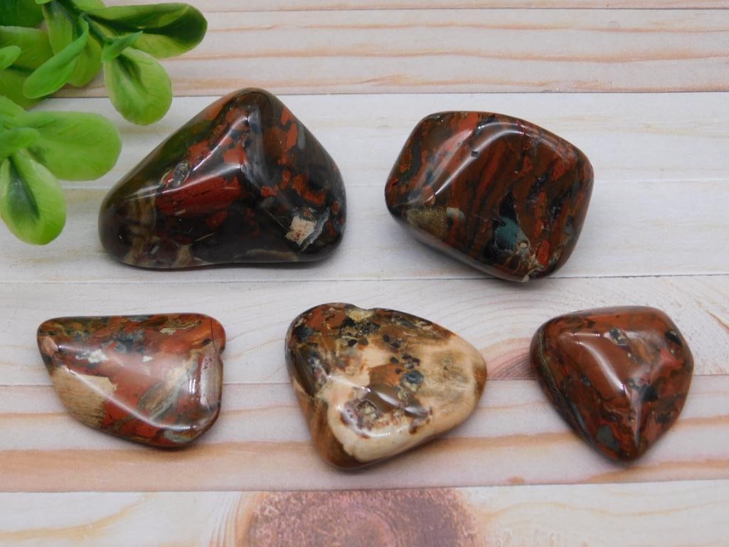 ROCK STONE LAPIDARY SPECIMEN ASSORTED NATURAL ROCKHOUND DISPLAY
