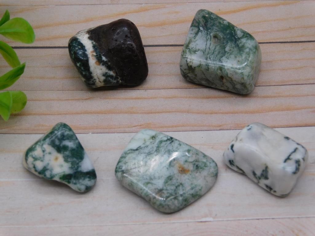TREE AGATE ROCK STONE LAPIDARY SPECIMEN NATURAL CABBING ROUGH COLLECTOR