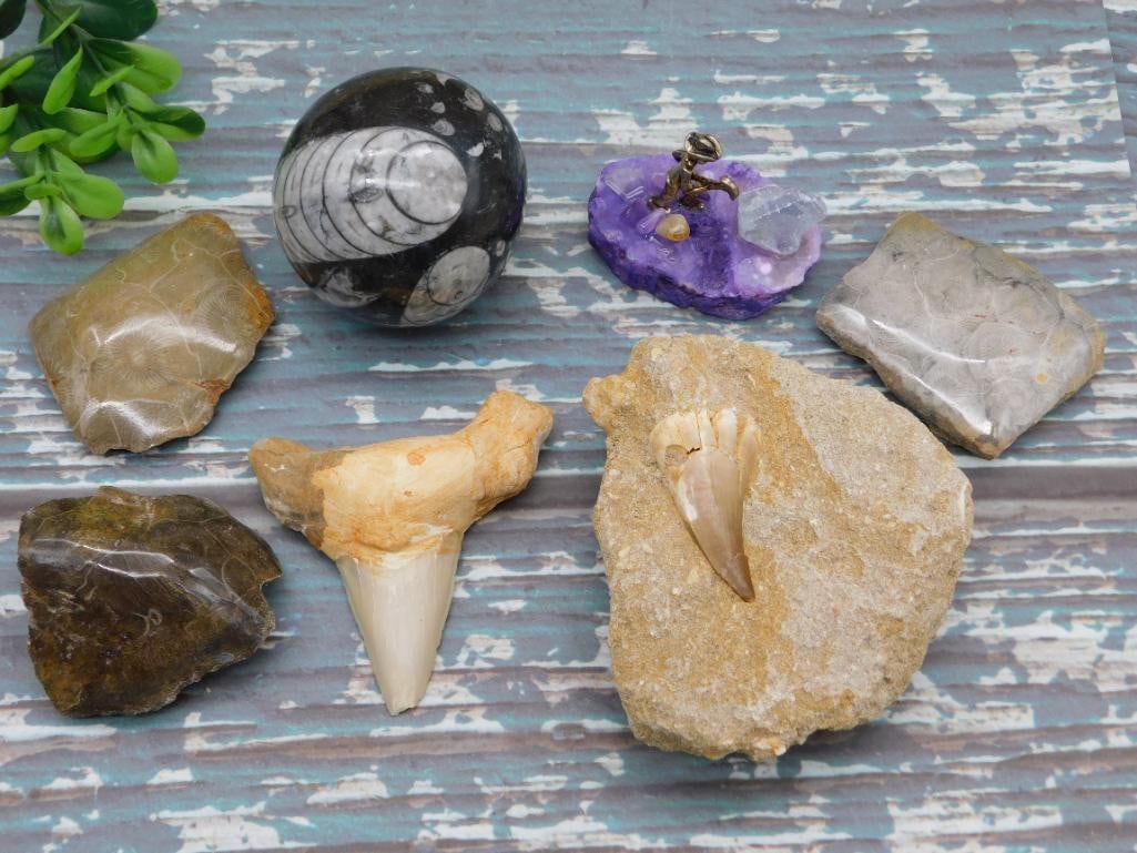 MIXED LOT ROCK STONE LAPIDARY SPECIMEN GROUPING - NATURAL GEMSTONE ROUGH FOR ROCKHOUNDS (1 of 3)