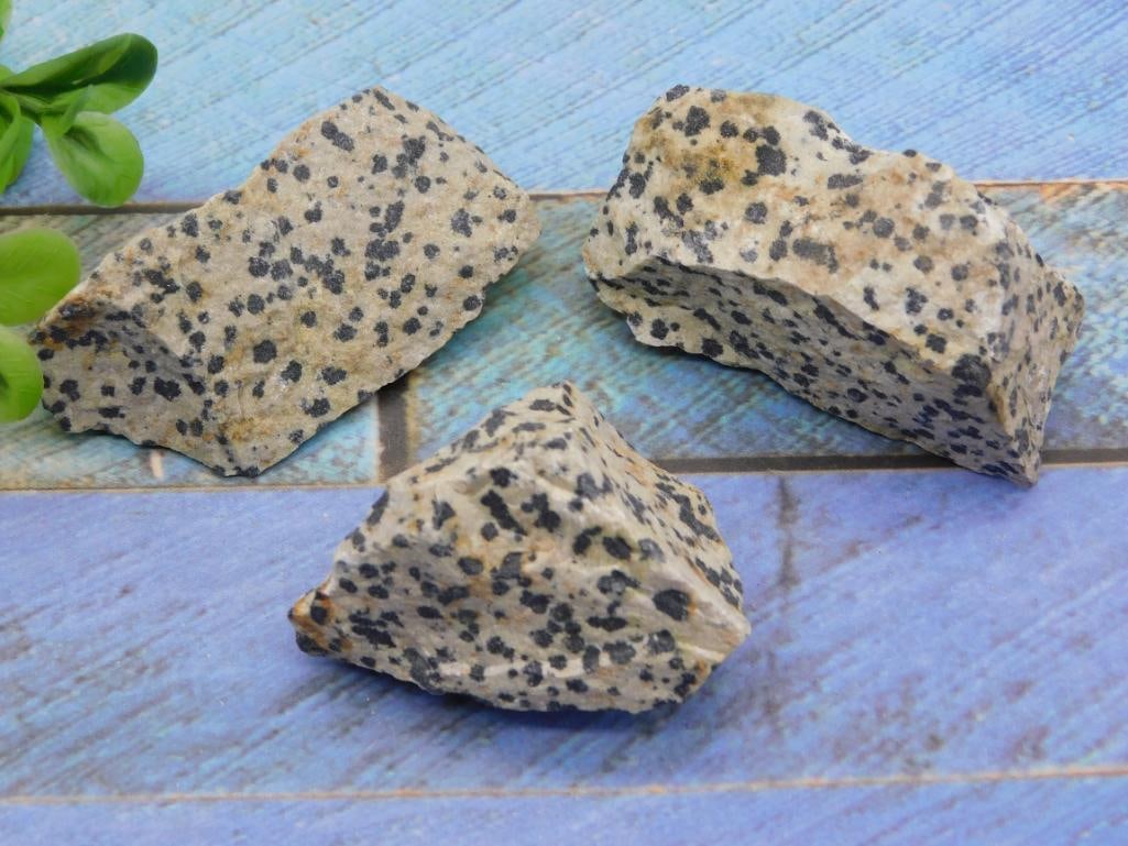 DALMATION JASPER ROCK STONE LAPIDARY SPECIMEN - NATURAL SPOTTED JASPER FOR CABBING