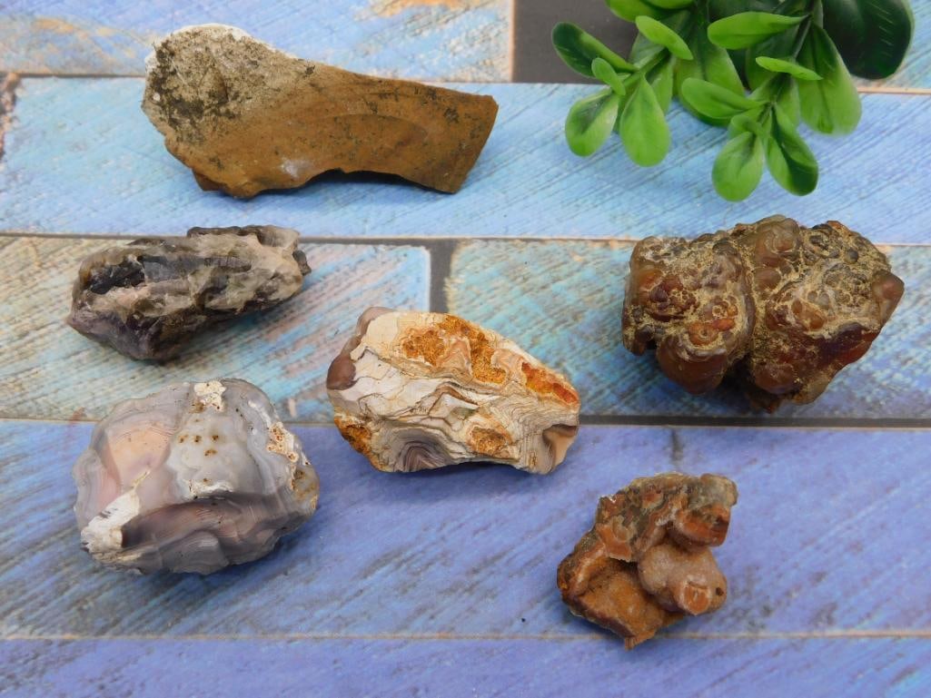 MIXED LOT ROCK STONE LAPIDARY SPECIMEN VARIETY PACK - NATURAL STONES FOR CABBING AND DISPLAY: An assorted mineral lot featuring several natural rock and stone specimens, appealing to collectors who like to browse and pick favorites. A fun addition for a display case or a lapidary work bench. S