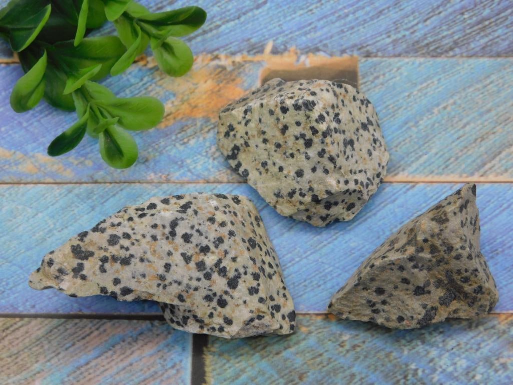 DALMATION JASPER ROCK STONE LAPIDARY SPECIMEN - NATURAL JASPER FOR JEWELRY MAKING