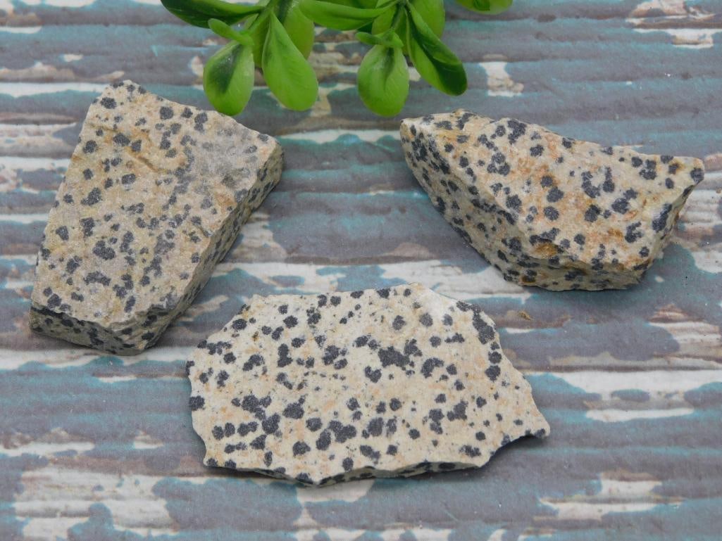 DALMATION JASPER ROCK STONE LAPIDARY SPECIMEN - NATURAL SPOTTED STONE FOR LAPIDARY WORK