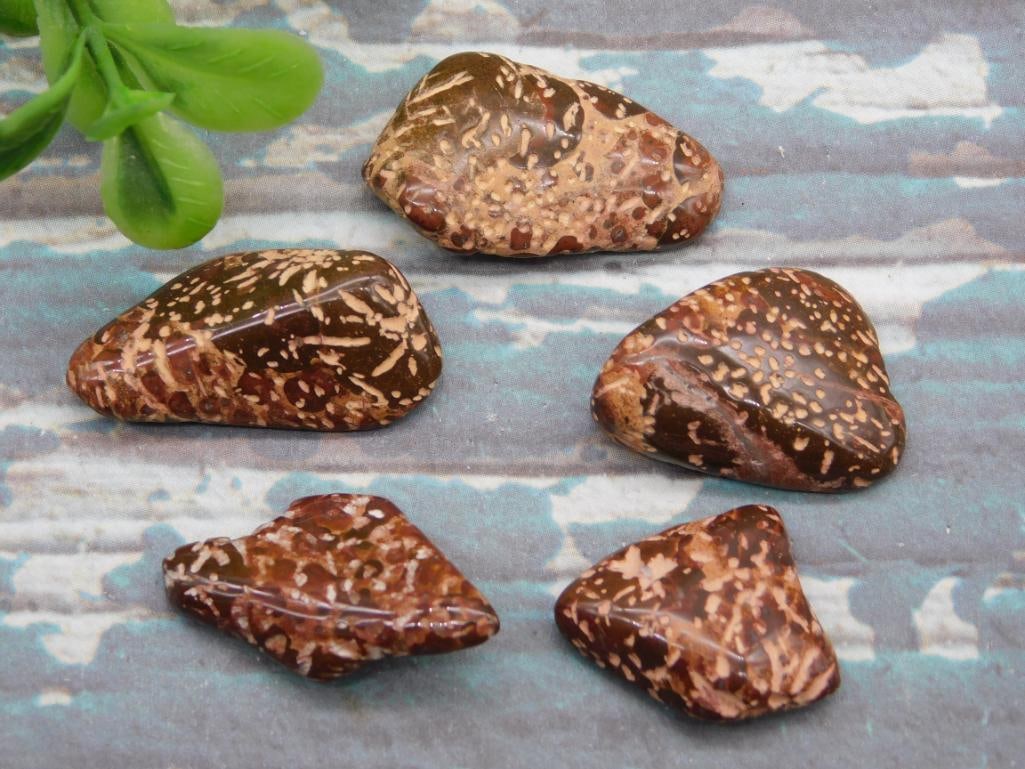 STARBURST JASPER ROCK STONE LAPIDARY SPECIMEN - NATURAL JASPER FOR CABBING AND DISPLAY