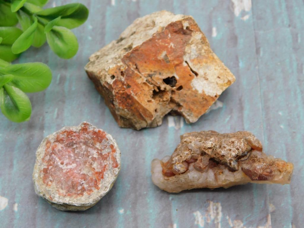 MIXED LOT ROCK STONE LAPIDARY SPECIMEN VARIETY PACK - NATURAL STONES FOR CABBING AND DISPLAY: An assorted mineral lot featuring several natural rock and stone specimens, appealing to collectors who like to browse and pick favorites. A fun addition for a display case or a lapidary work bench. S