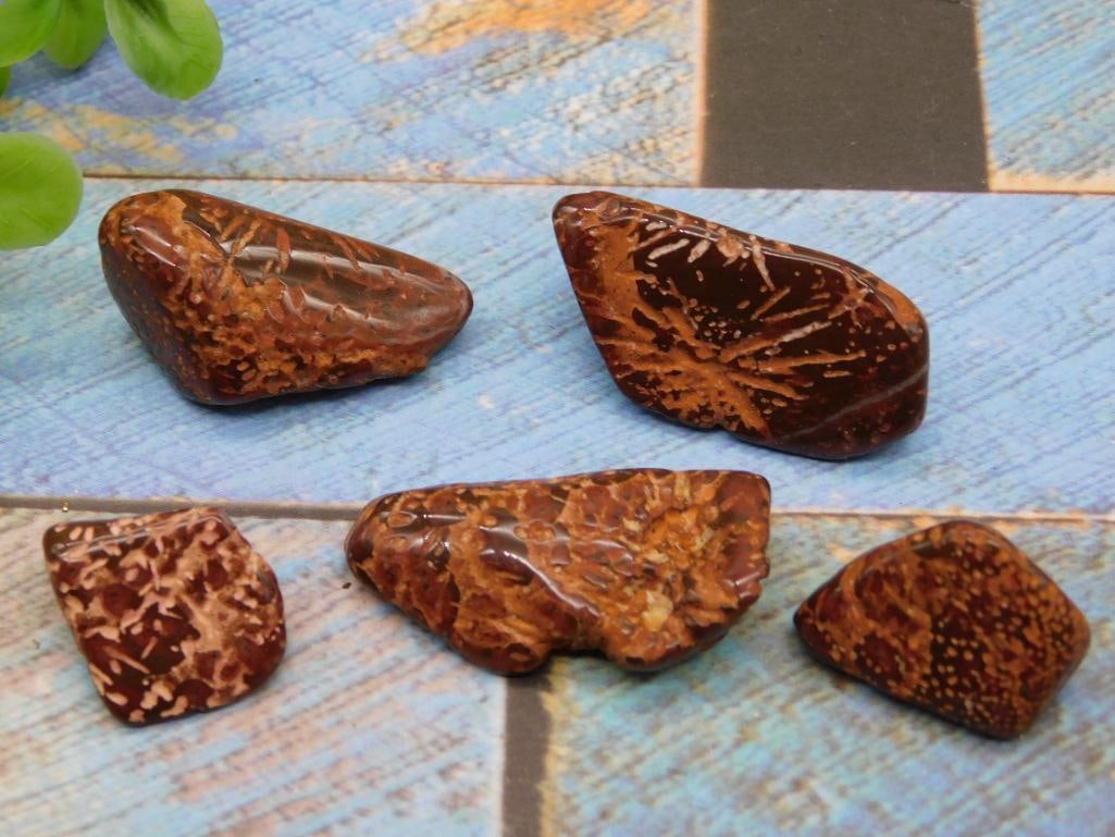 STARBURST JASPER ROCK STONE LAPIDARY SPECIMEN - NATURAL COLLECTOR JASPER SPECIMEN
