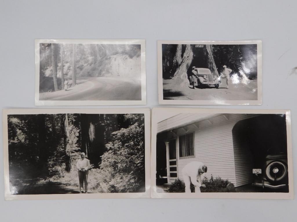 Vintage Black and White Photographs, Redwood Forest Road Trip: A set of four vintage snapshot photographs showing a scenic mountain road, a classic car parked among giant redwood trees, and a house exterior. These appear to be personal travel photos from a