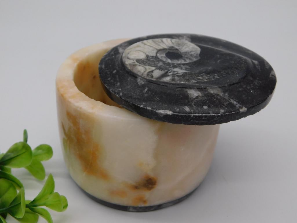 Alabaster Lidded Trinket Box with Fossil Stone Lid - 433 Gram Antique Box: A round alabaster stone trinket box in soft cream and amber tones, topped with a contrasting black stone lid featuring a polished ammonite fossil design. The box stands approximately 3 inches tall