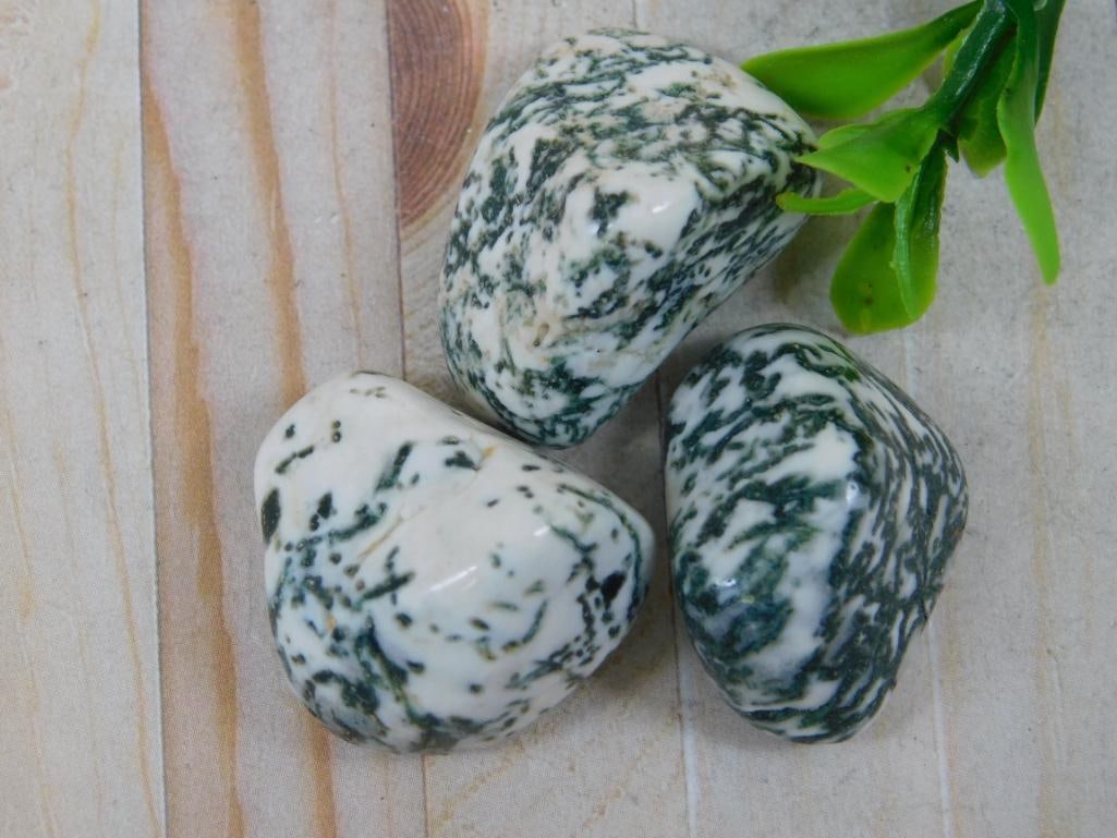 TREE AGATE ROCK STONE LAPIDARY SPECIMEN - 2