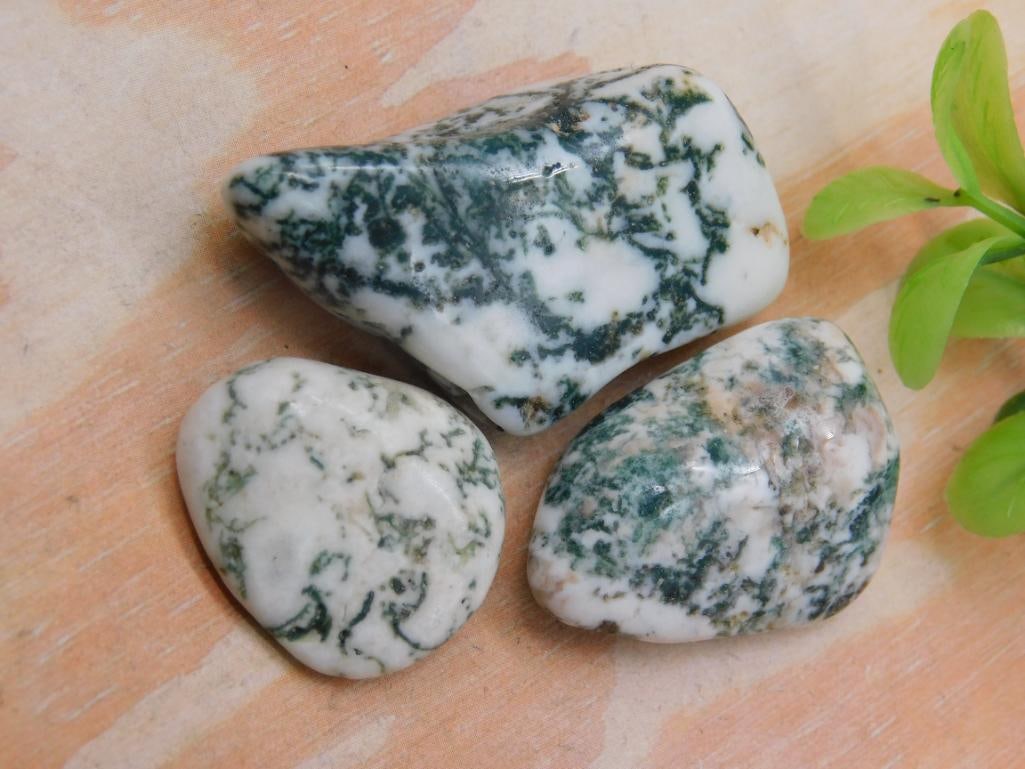 TREE AGATE ROCK STONE LAPIDARY SPECIMEN - 2