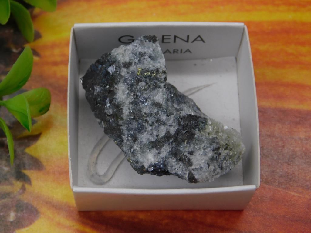 Galena Mineral Specimen in Display Box ROCK STONE LAPIDARY SPECIMEN (1 of 2)