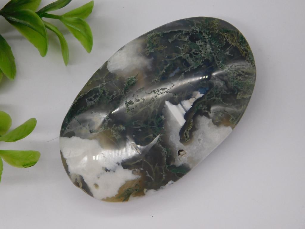 MOSS PLUME AGATE PALM STONE ROCK STONE LAPIDARY SPECIMEN: MOSS PLUME AGATE PALM STONE ROCK STONE LAPIDARY SPECIMEN