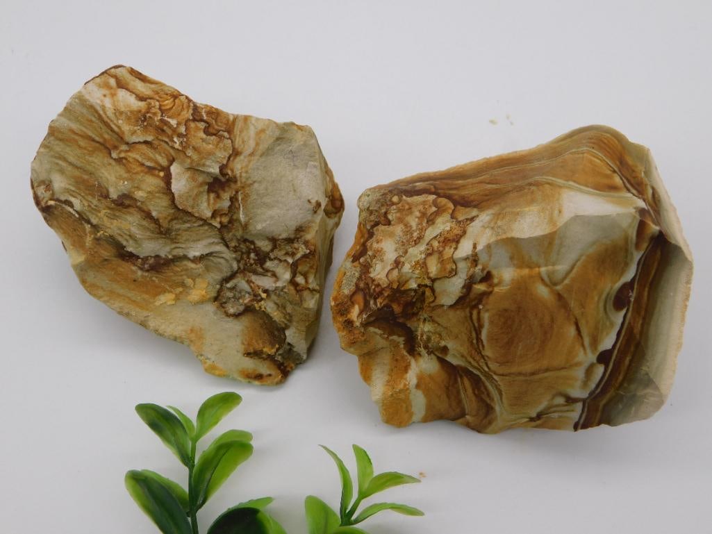JASPER ROCK STONE LAPIDARY SPECIMEN: JASPER ROCK STONE LAPIDARY SPECIMEN