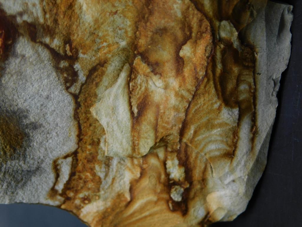JASPER ROCK STONE LAPIDARY SPECIMEN - 2