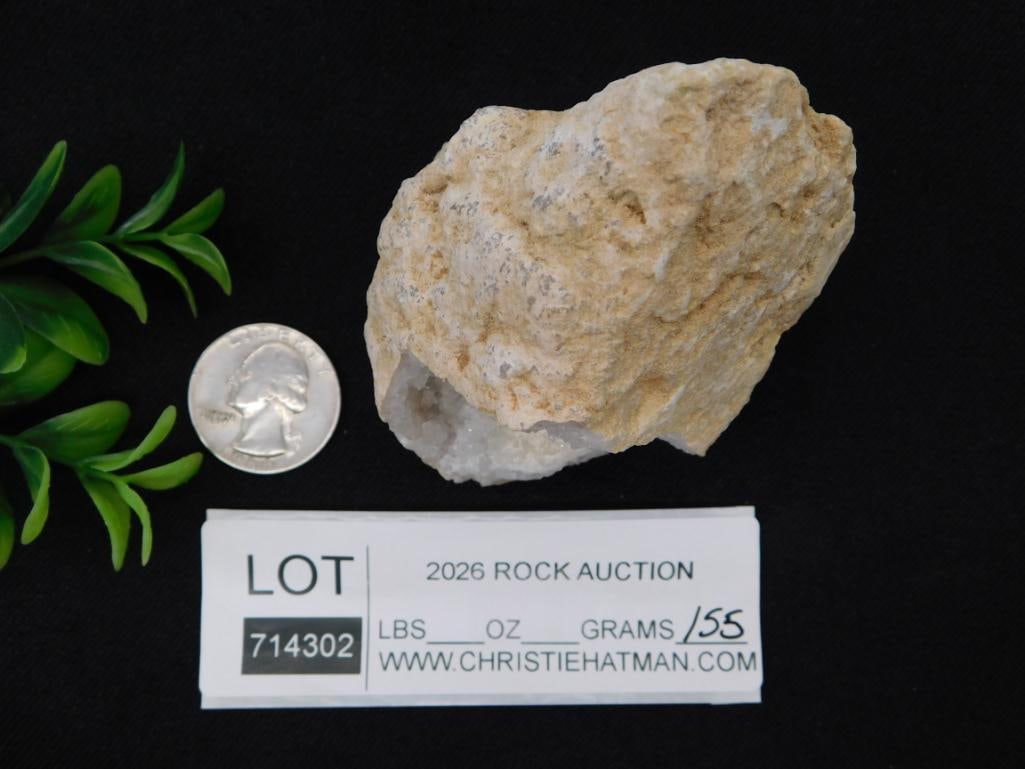 Natural Quartz Crystal Geode Specimen - 2