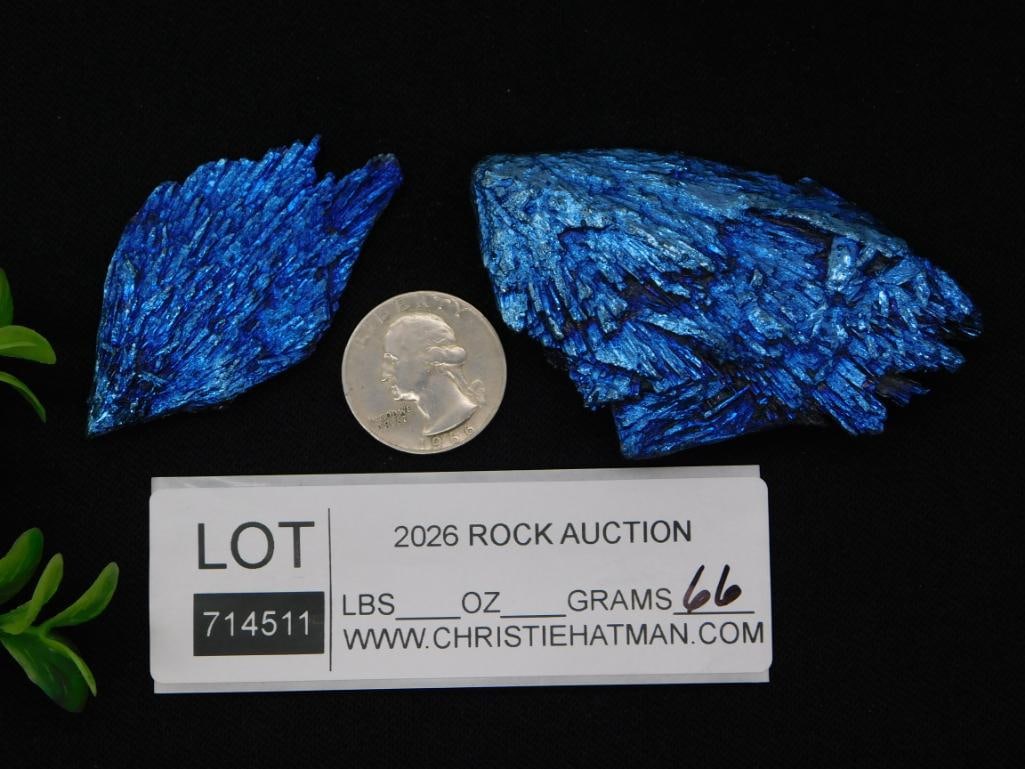 Blue Kyanite Crystal Specimens - 2