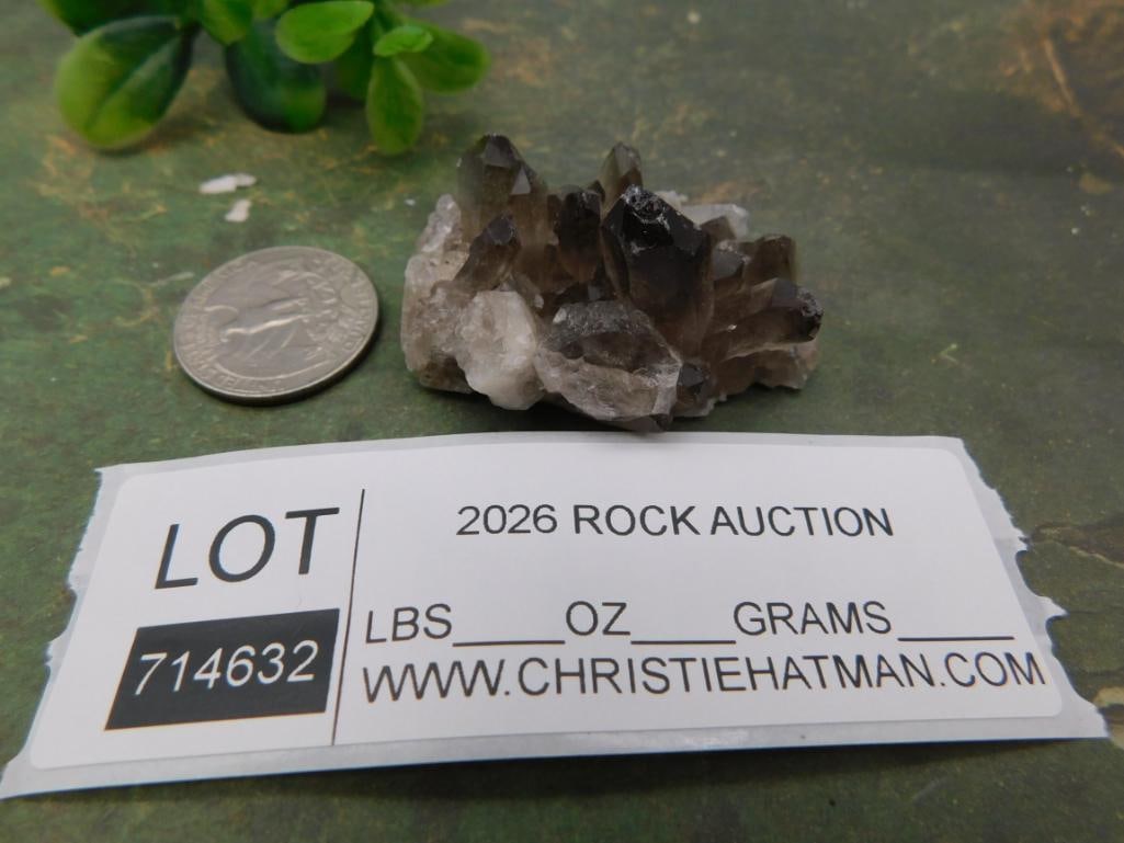 Smoky Quartz Crystal Cluster - 2