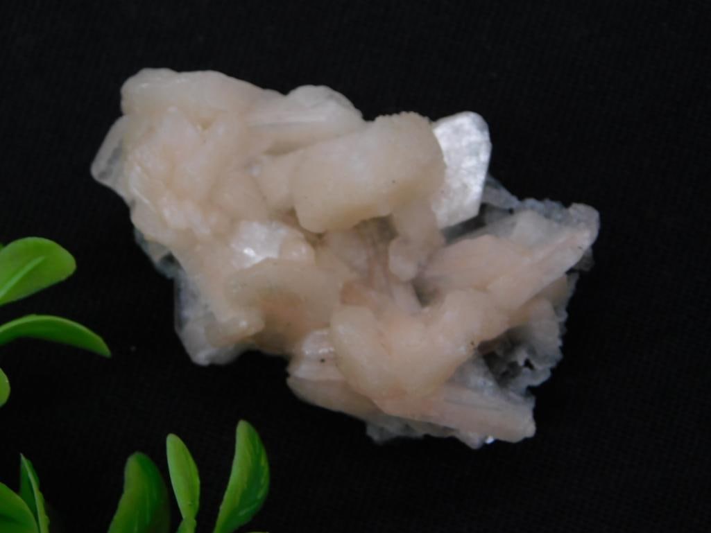 Natural Stilbite/Apophyllite Crystal Cluster Mineral Specimen: A cream-colored bow-tie stilbite crystal cluster specimen with associated apophyllite, showing classic radiating crystal formations. Auction tag lists weight at 34 grams. Measures approximately 3 inch