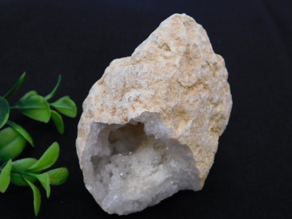 Natural Quartz Crystal Geode Specimen: A tan/beige rock specimen with a natural crystal geode cavity lined with sparkling white druzy quartz crystals. 155 grams.