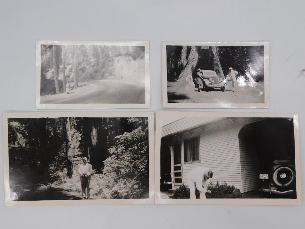 Vintage Black and White Redwood Forest Photographs: Set of four vintage black and white photographs depicting a forest road, a vintage car beneath giant redwood trees, and figures among redwoods.