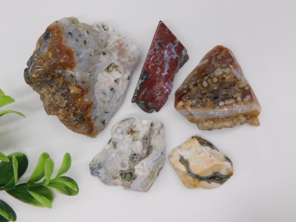 Assorted Rough and Polished Agate Mineral Lot: A 134-gram lot of five rough and partially polished agate and jasper mineral specimens in white, rust-red, dark maroon, and tan banded colors.