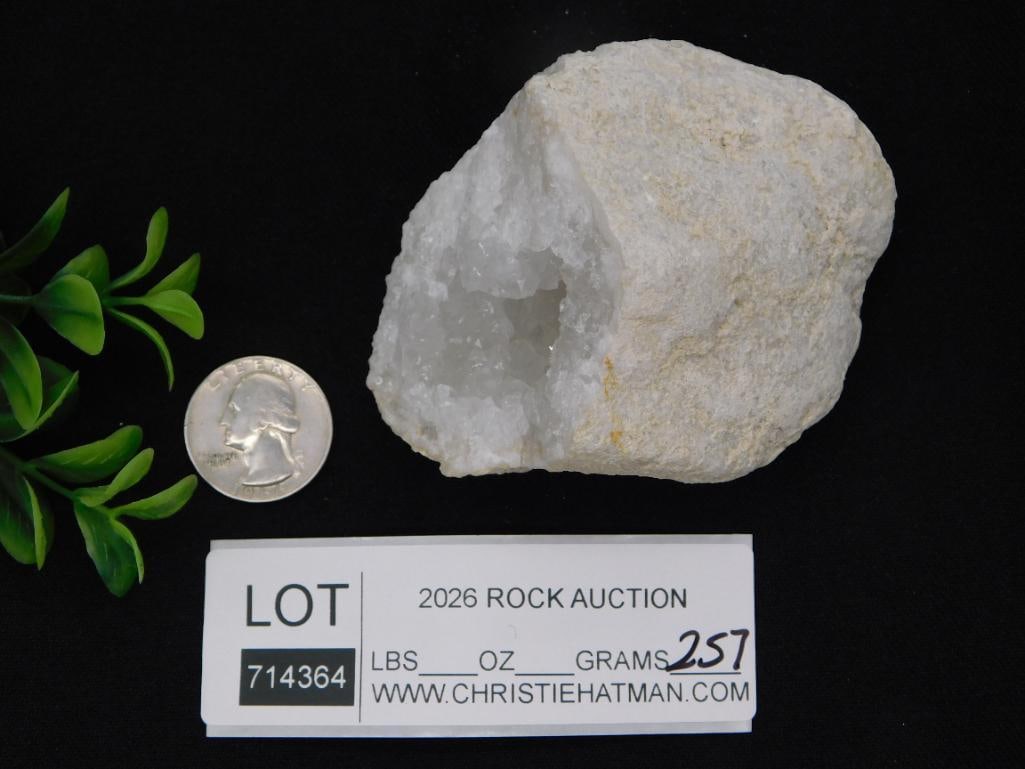 Crystal Quartz Geode Specimen - 2