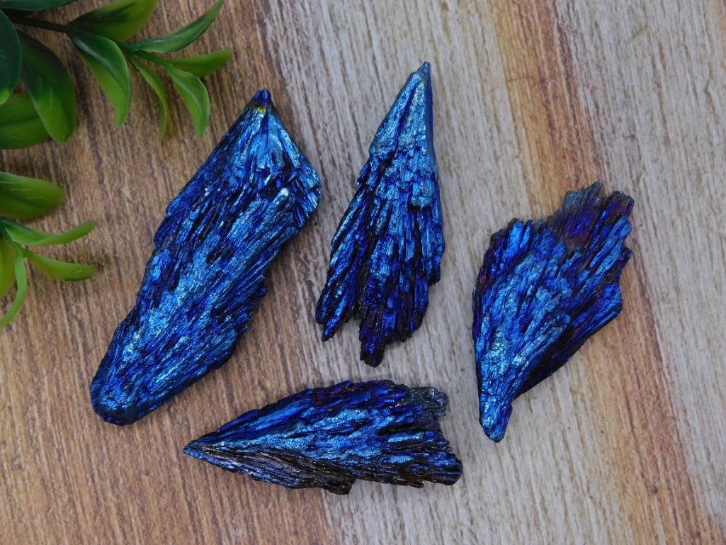 Blue Kyanite Crystal Blade Specimens, Set of Four Natural Points: Set of four natural blue kyanite crystal blades with iridescent metallic blue luster. Individual pieces range from approximately 1.5 to 3 inches long