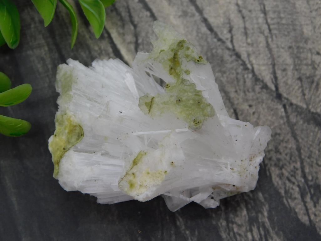 Scolecite Zeolite Mineral Specimen with Green Inclusions: White radiating scolecite/zeolite crystal cluster with green mineral inclusions, 33 grams.
