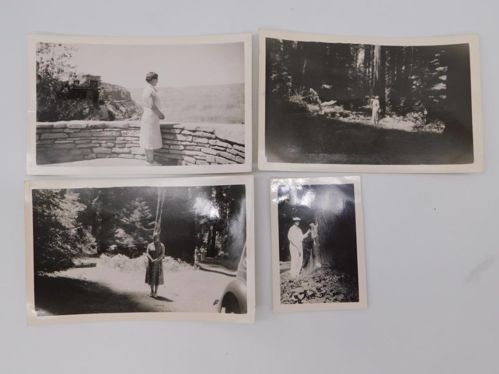 Antique Family Travel Photographs - Grand Canyon and Redwoods: Set of four black and white snapshot photographs from a family road trip, including scenes at a stone overlook and in a redwood forest.