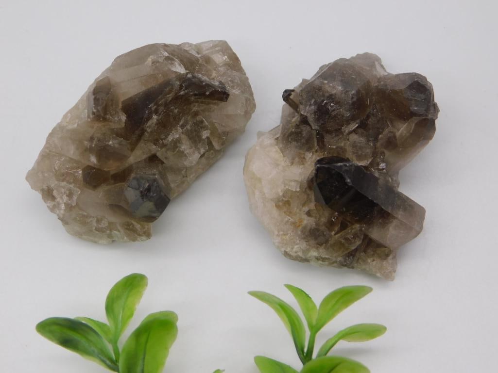 Smoky Quartz Crystal Cluster Pair: Pair of natural smoky quartz crystal clusters with terminated points on matrix base, 75 grams total.