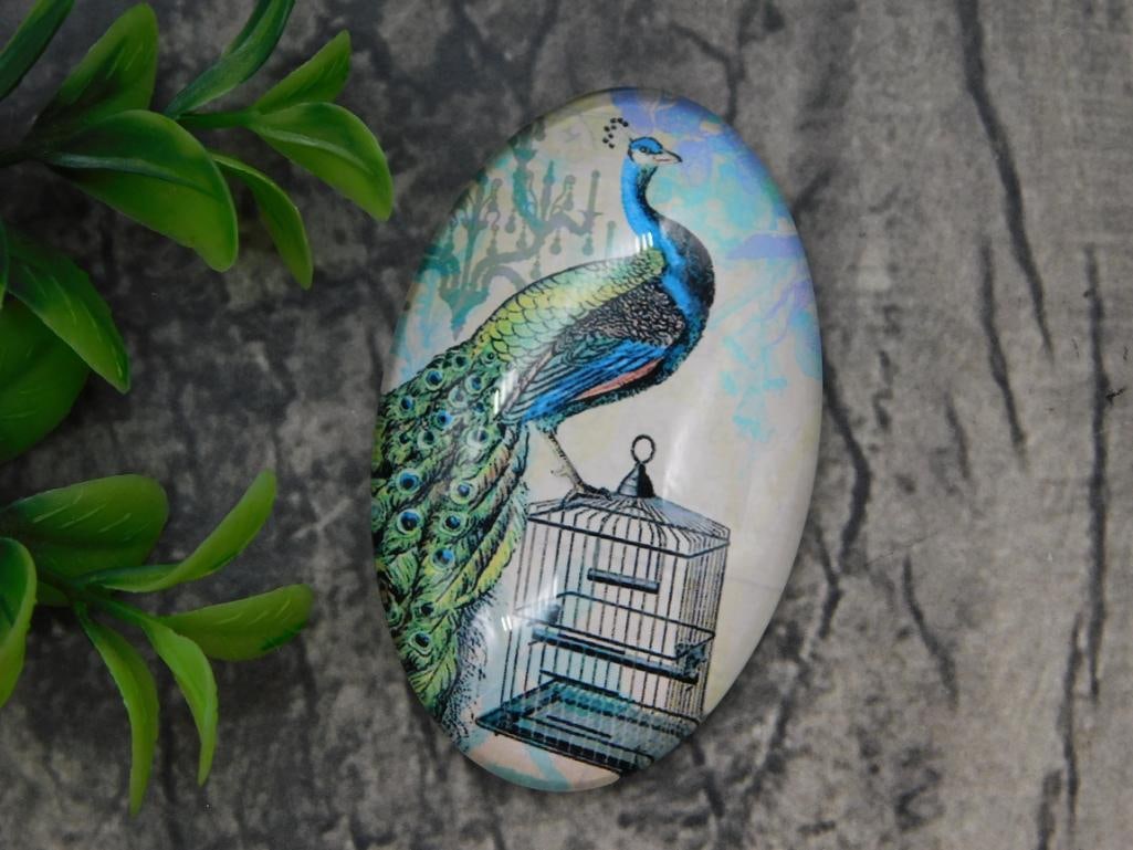 Peacock and Birdcage Art Glass Cabochon: Oval domed glass or resin cabochon featuring a printed vintage-style illustration of a peacock perched on a birdcage.