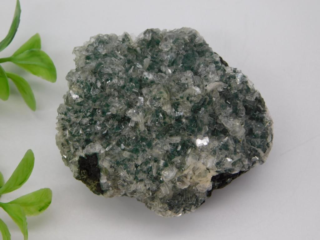 Green Apophyllite Crystal Cluster Mineral Specimen: Natural green apophyllite crystal cluster specimen on dark matrix, 45 grams.